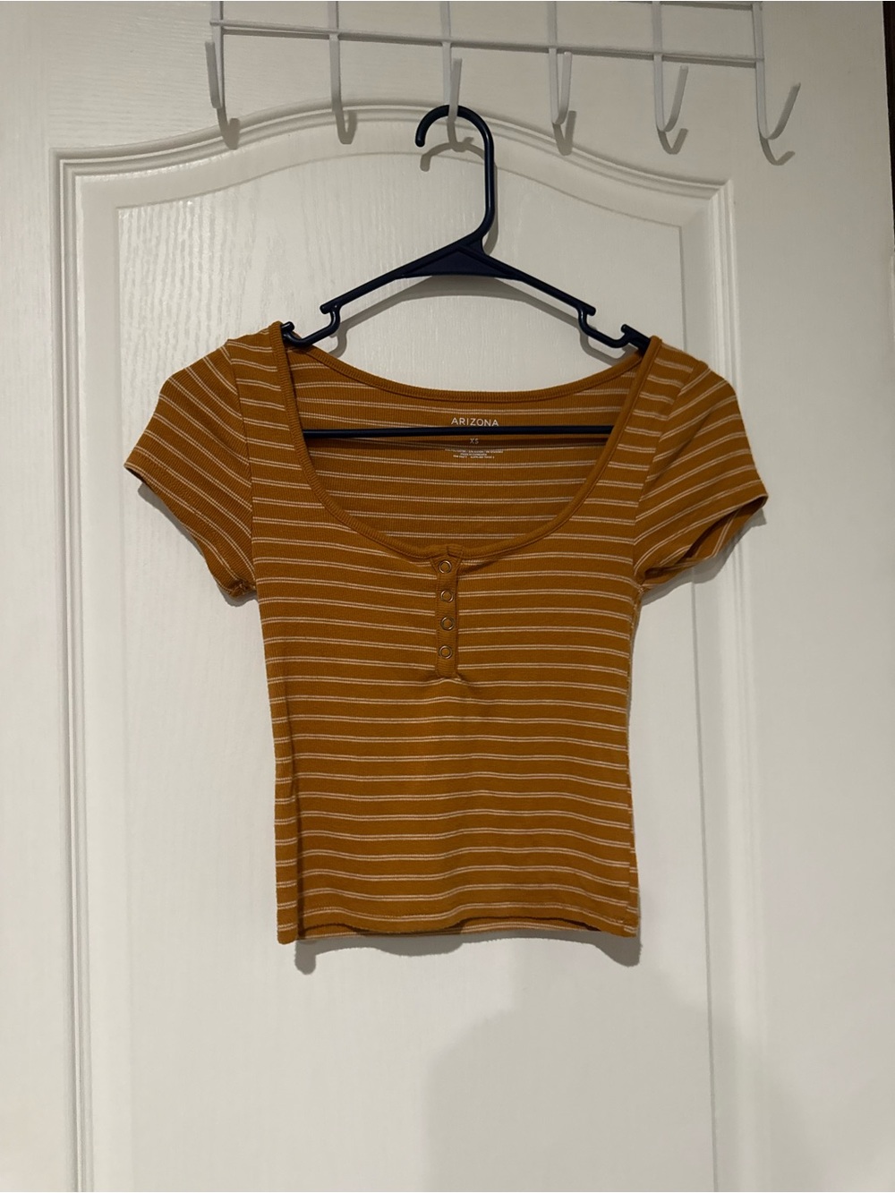 Burnt Orange Stripped Crop Top